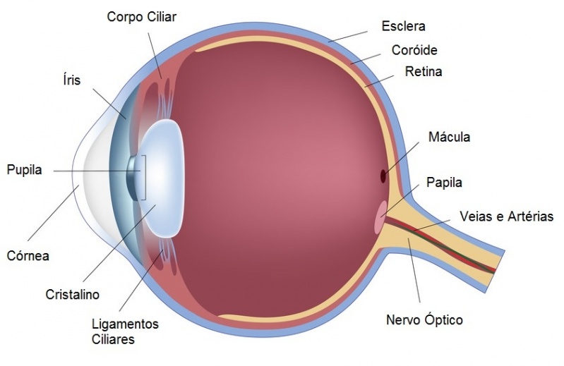 Cirurgia para Implante de Anel de Ferrara Jabaquara - Cirurgia Plástica Ocular
