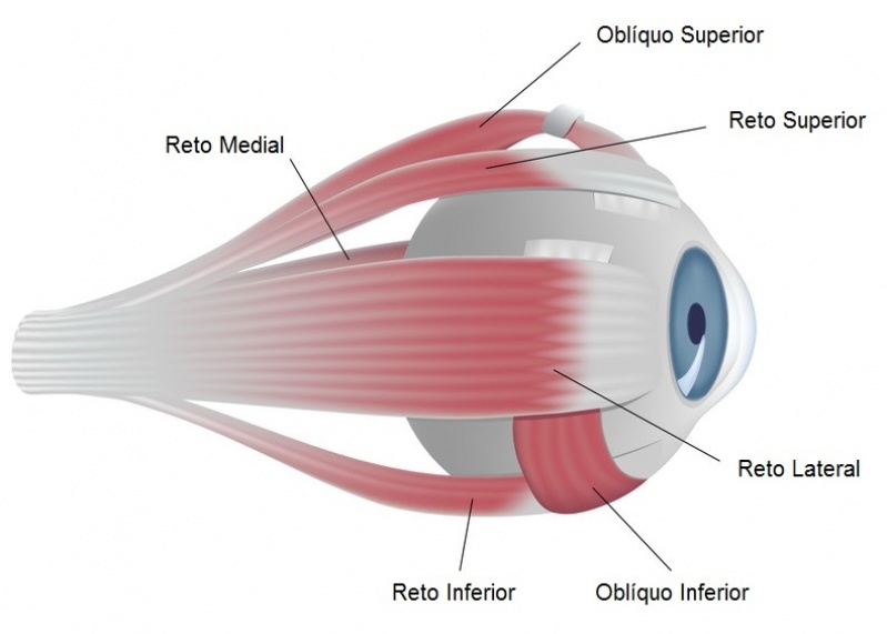 Oftalmologista Glaucoma Grajau - Oftalmologista para Correção de Graus
