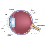 oftalmologistas para cirurgia de anel de ferrara Campo Belo