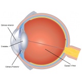 Tratamento de Doenças Oculares