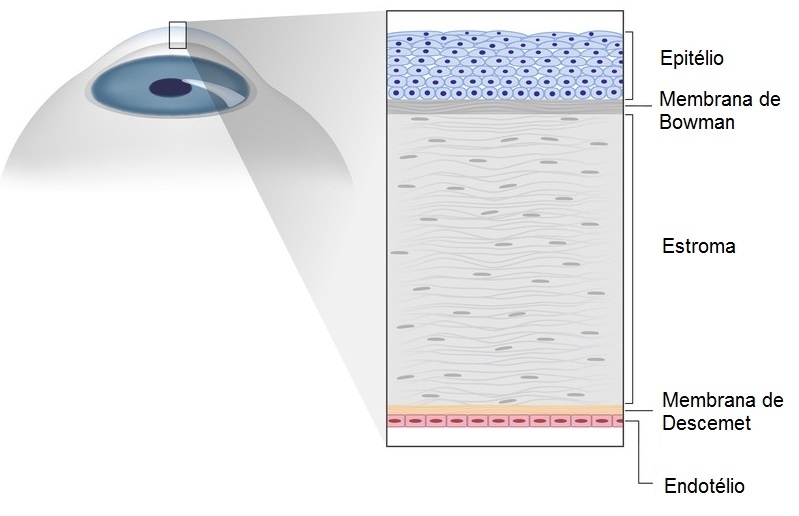 Tratamentos Ofttalmológicos na Luz - Tratamento Oftalmológico